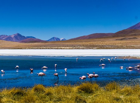 Utuni Bolivie