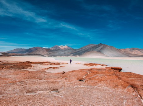 Atacama Chili