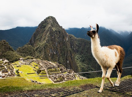 Machu Picchu Pérou