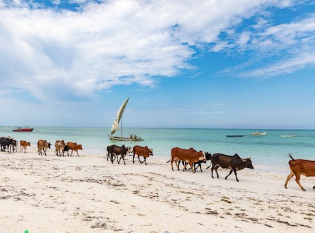 plage Zanzibar